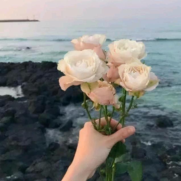 逢场作戏🌹（73年的🐮）