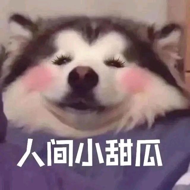 哎呀，杨小狸🇨🇳