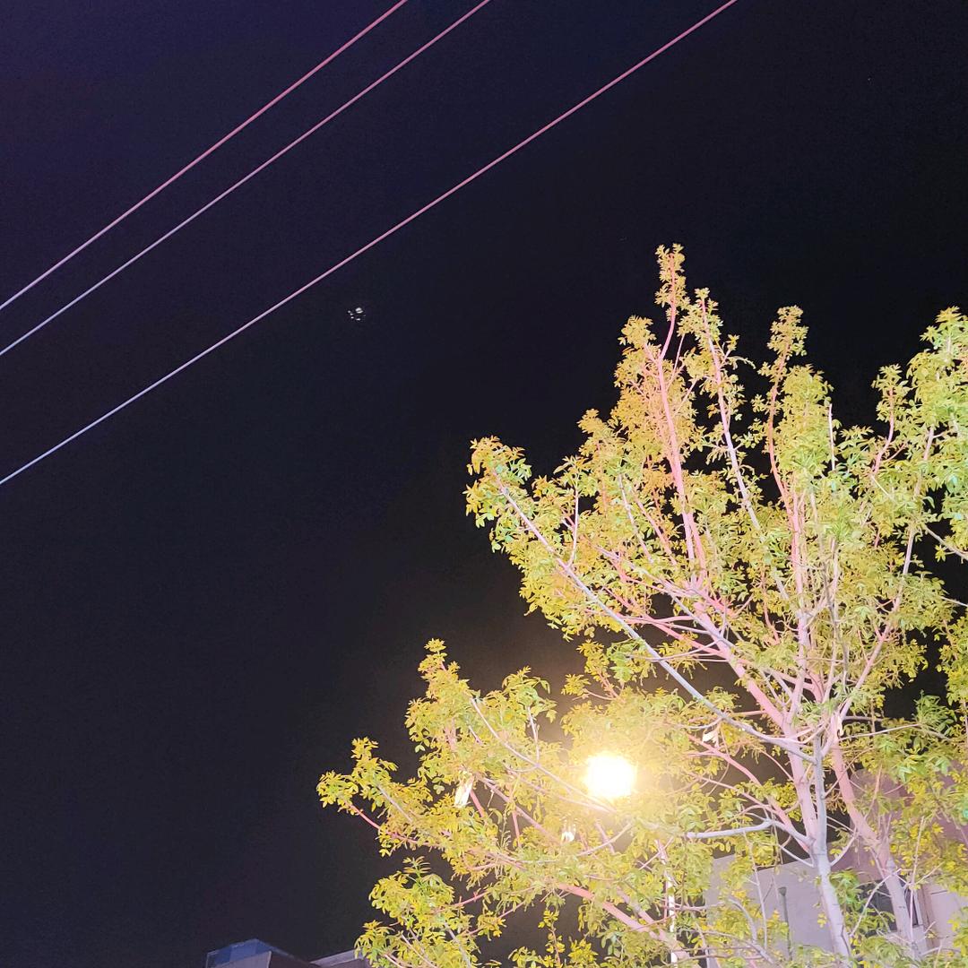 不可不醉，不可大醉