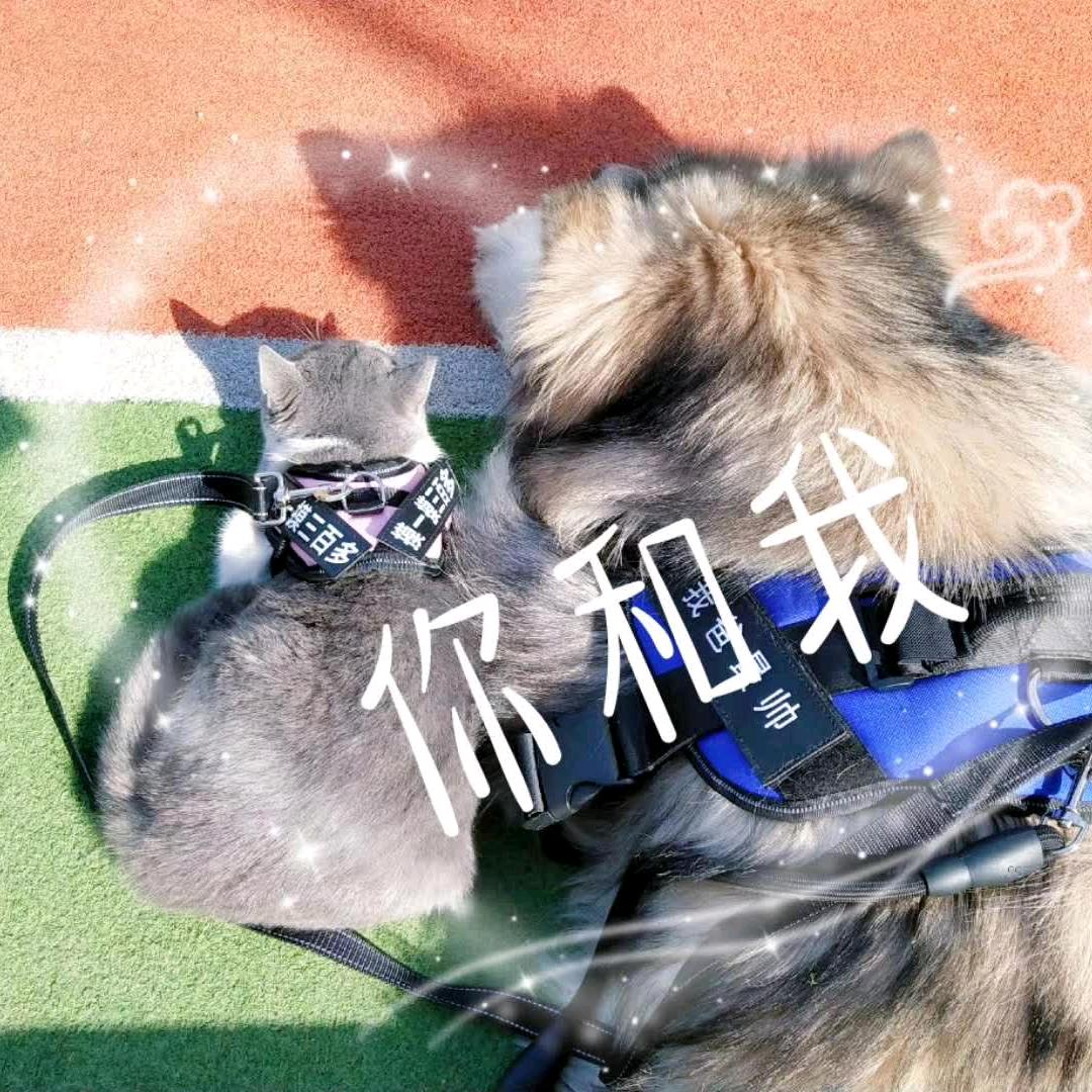 🔥兲亮了🔥头像