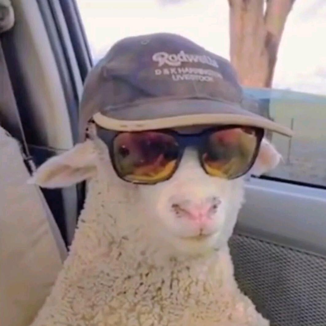 咩也🐑