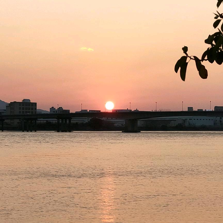 浩浩  HAOHAO