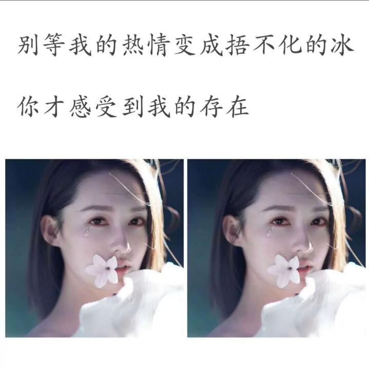 🍓爱恨随意🍓