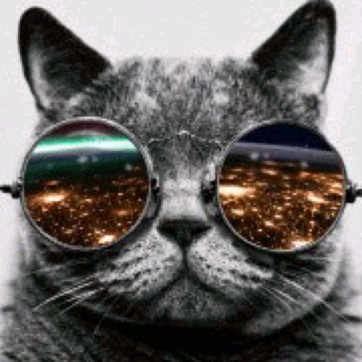 醉卧香床妾莫笑