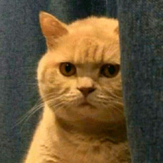 小尘埃