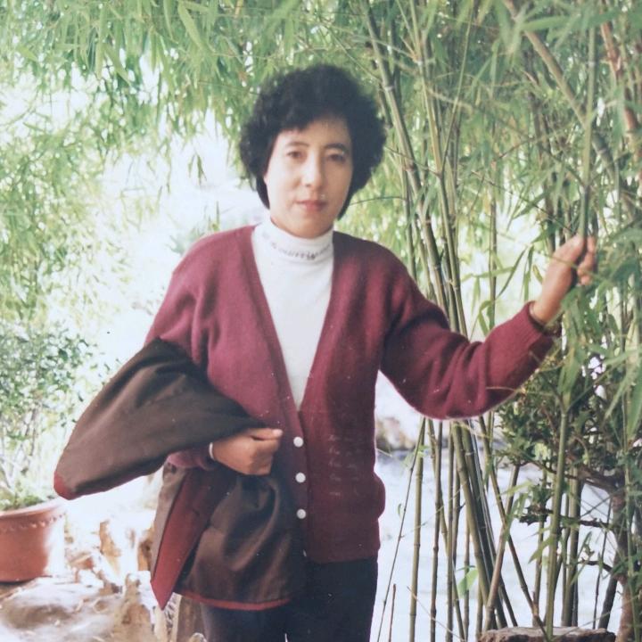 幽谷兰香晚6点一8点30分