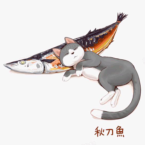 灰猫与秋刀鱼