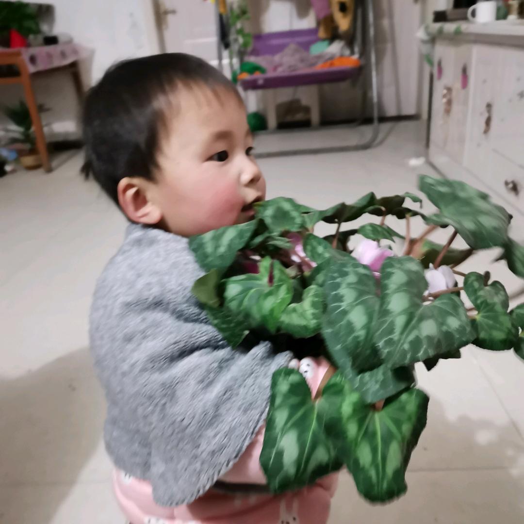 农村三姐