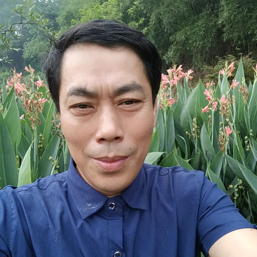 皮氏装饰