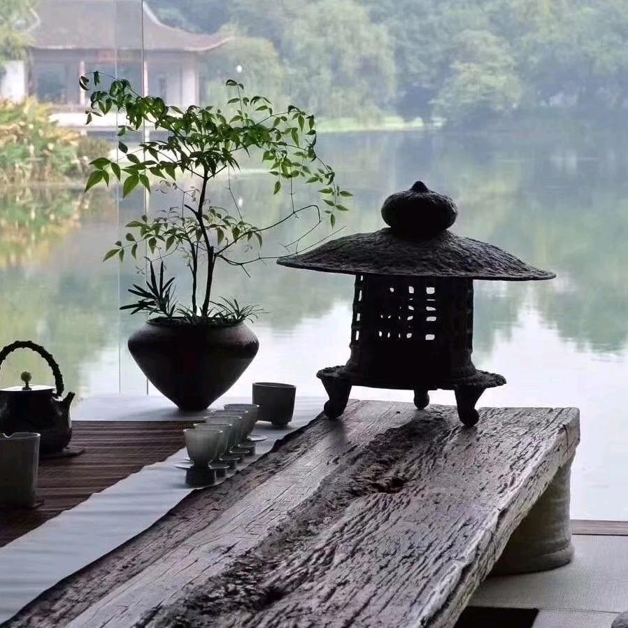 小龙有梦想