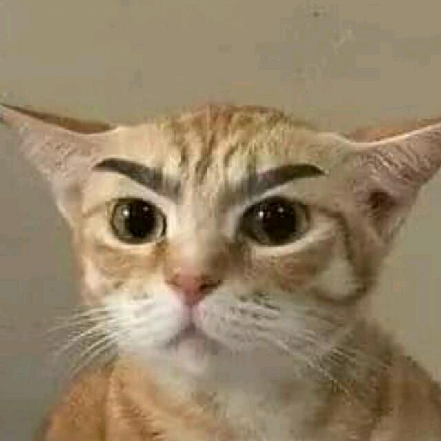 一起发个呆吧～