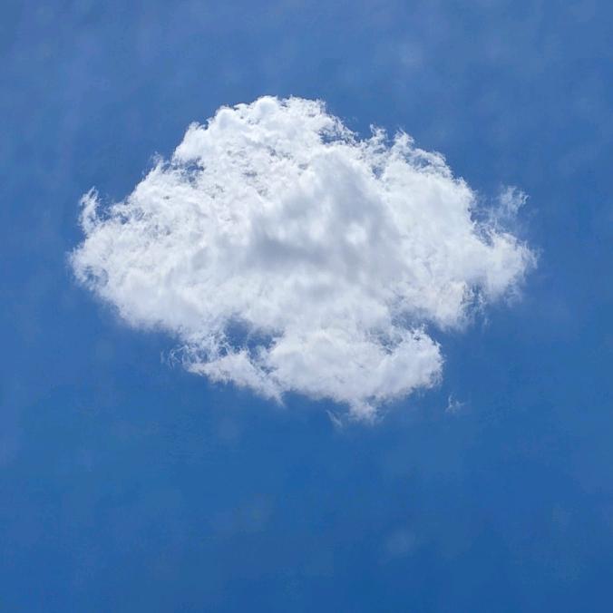 花开雨落