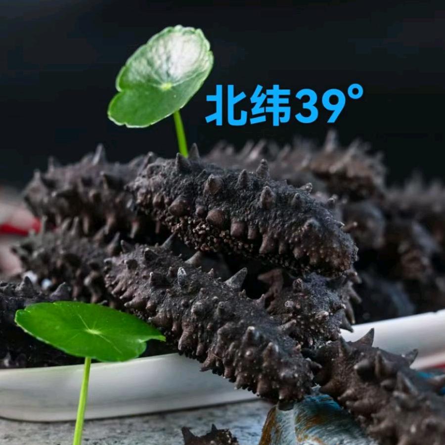 A参夫人~长海县野生海参供应链