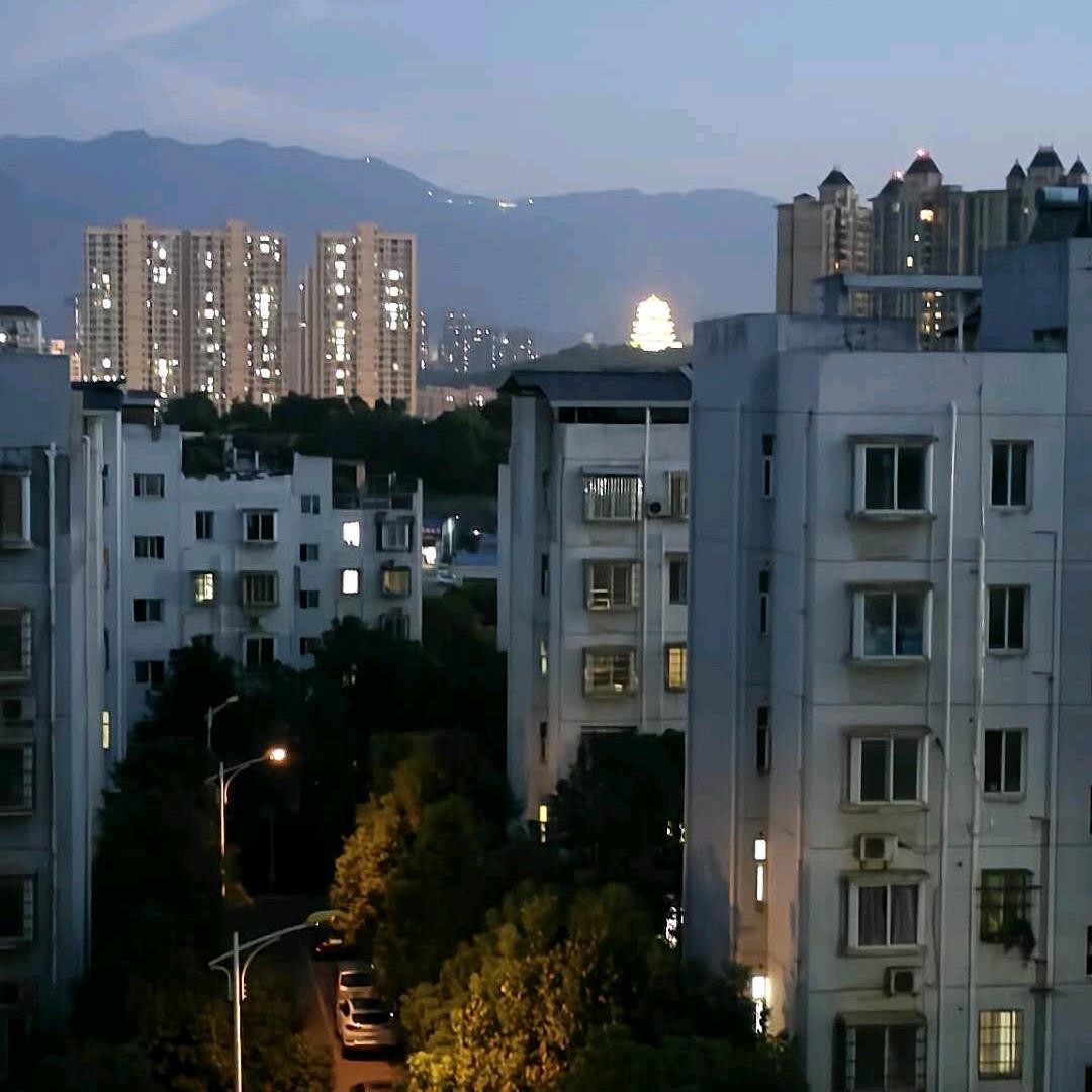 冬天里的杜鹃花