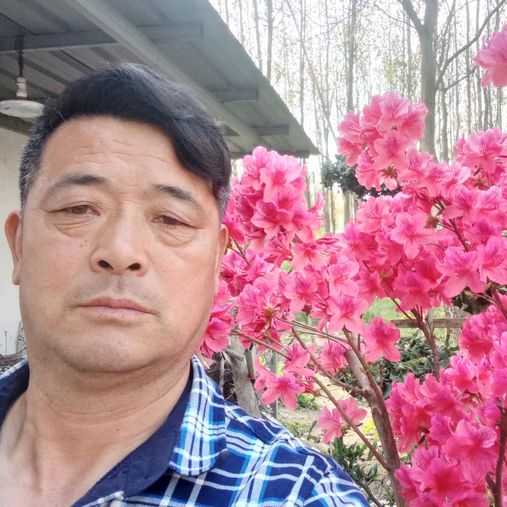 白果阿宝