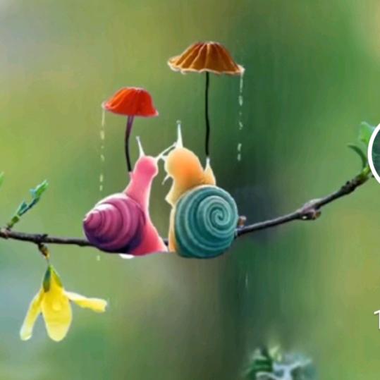 真爱一生🍄05476