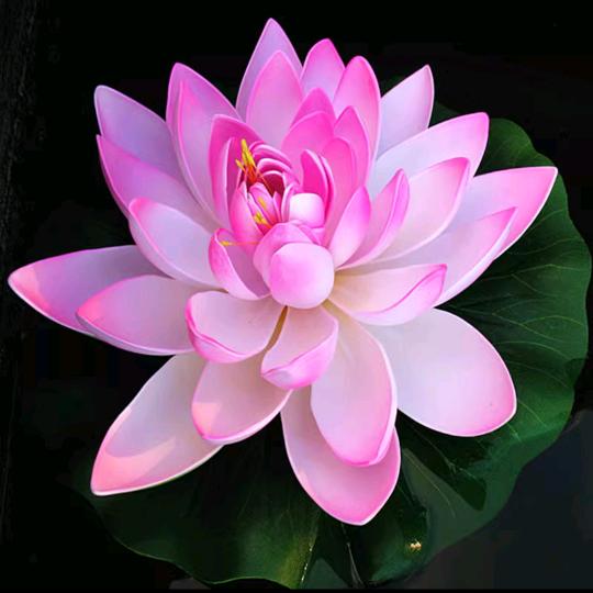 好好好！