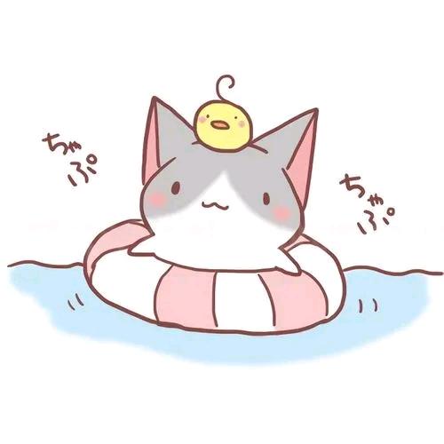 会ctrl的猫