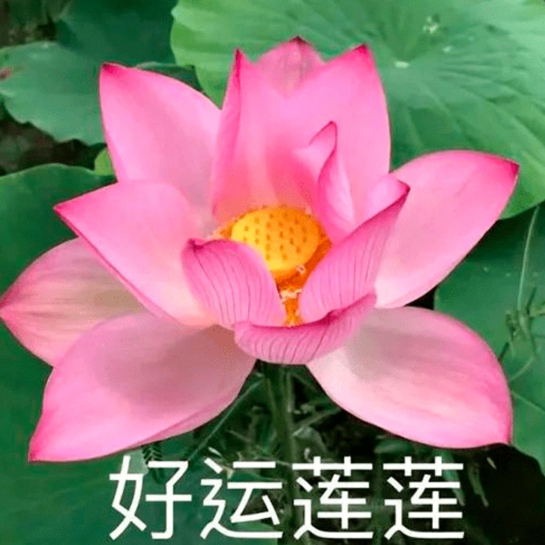 加油，喜欢音乐的朋友！