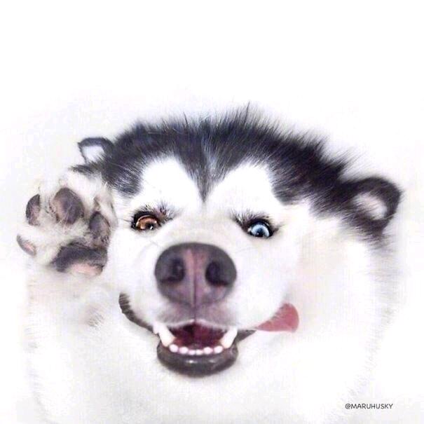 有钱啵啵的钱