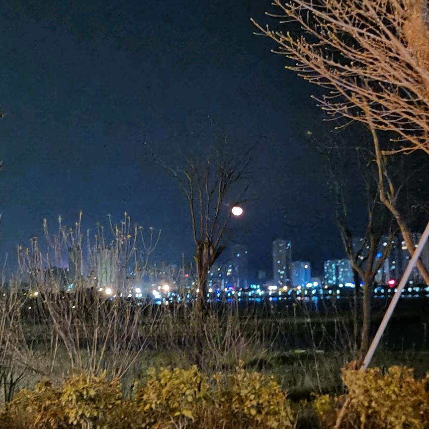 不离不弃