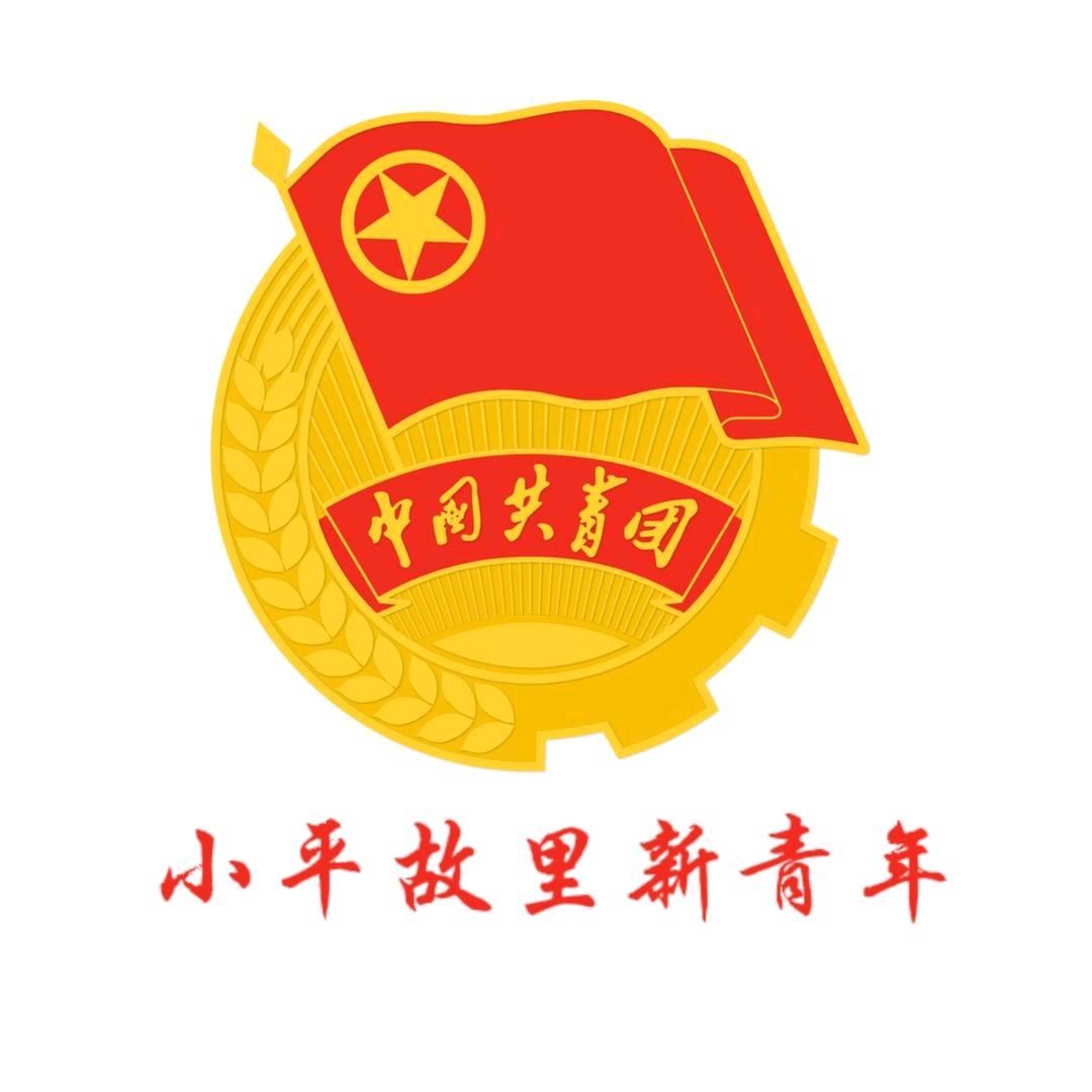 小平故里新青年