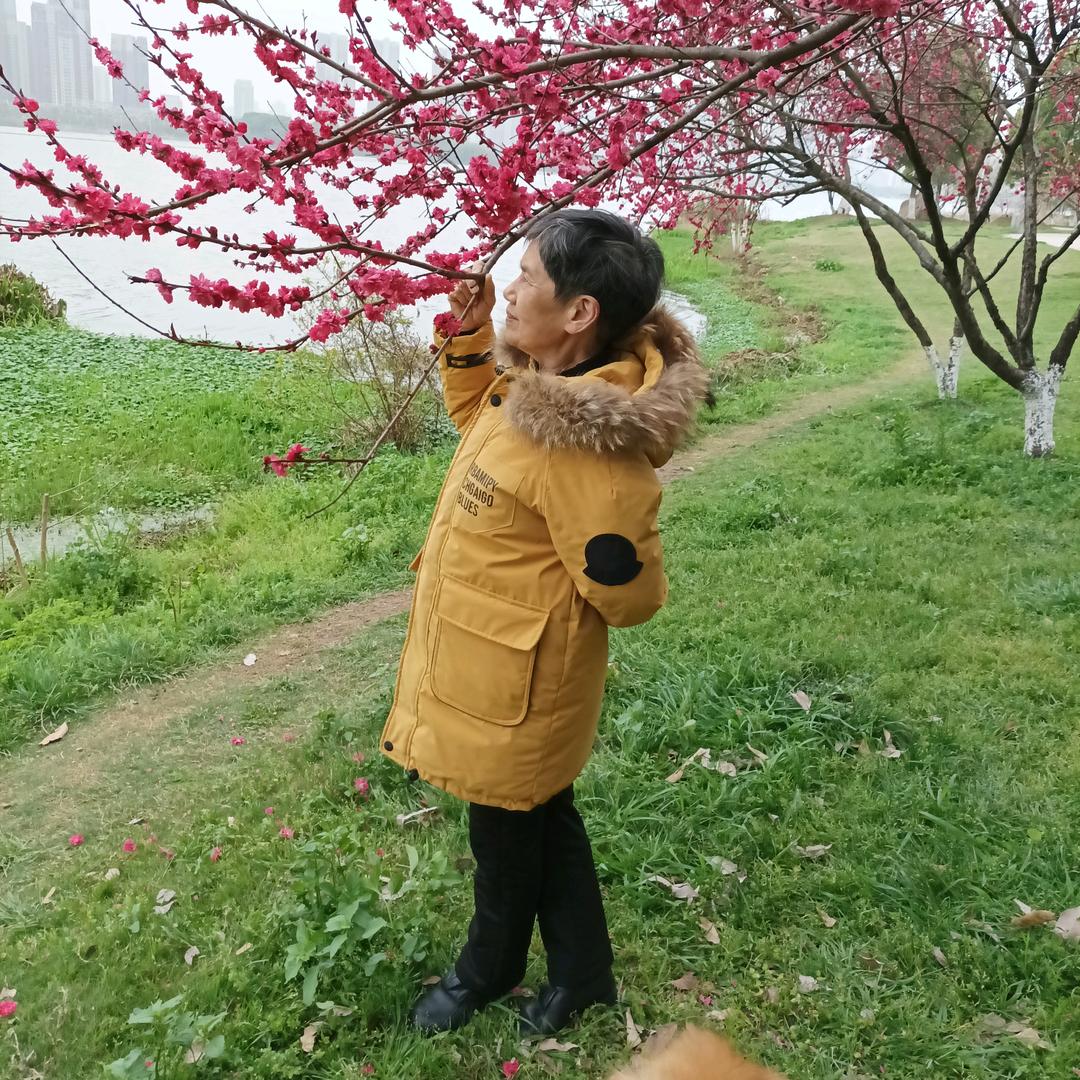 年年