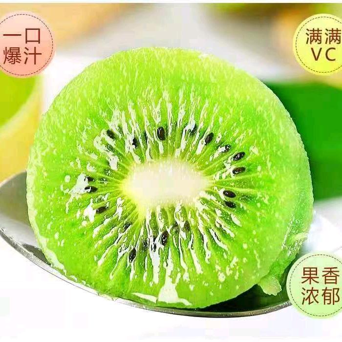 九龙湾猕猴桃种植基地