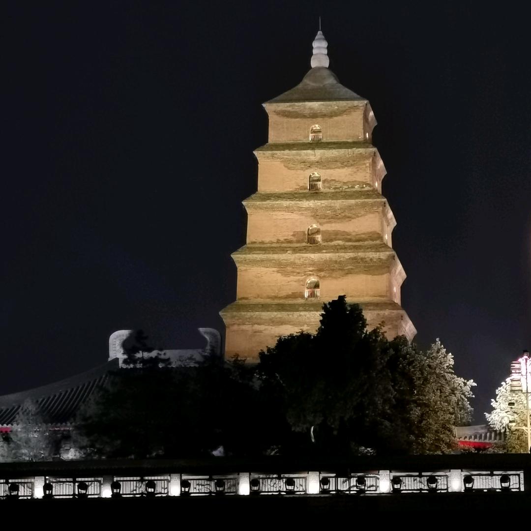 走走停停看風景