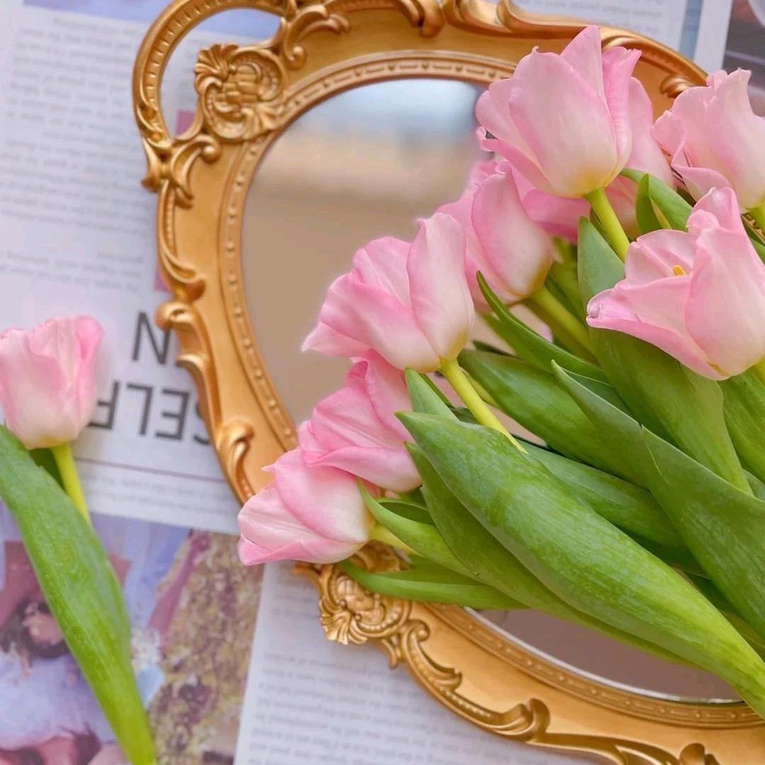 花之家鲜花批发