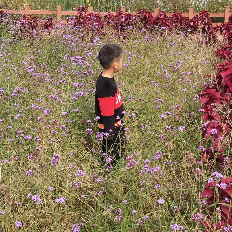 金榜中介（济宁海达行知学校）