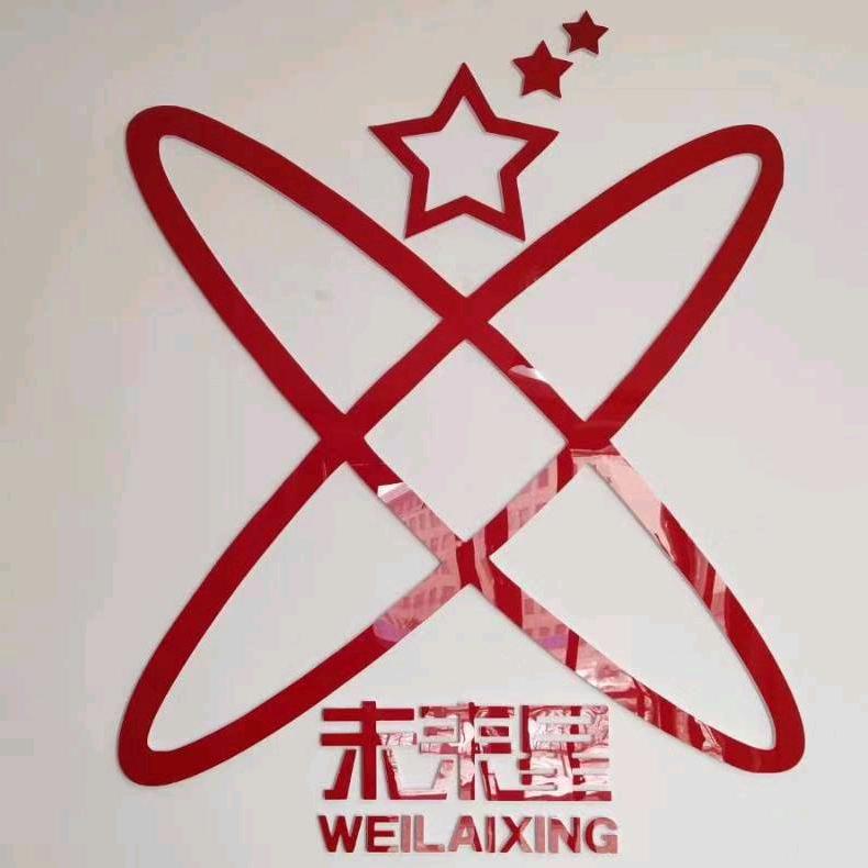 通渭县未来星文化艺术培训学校有限公司