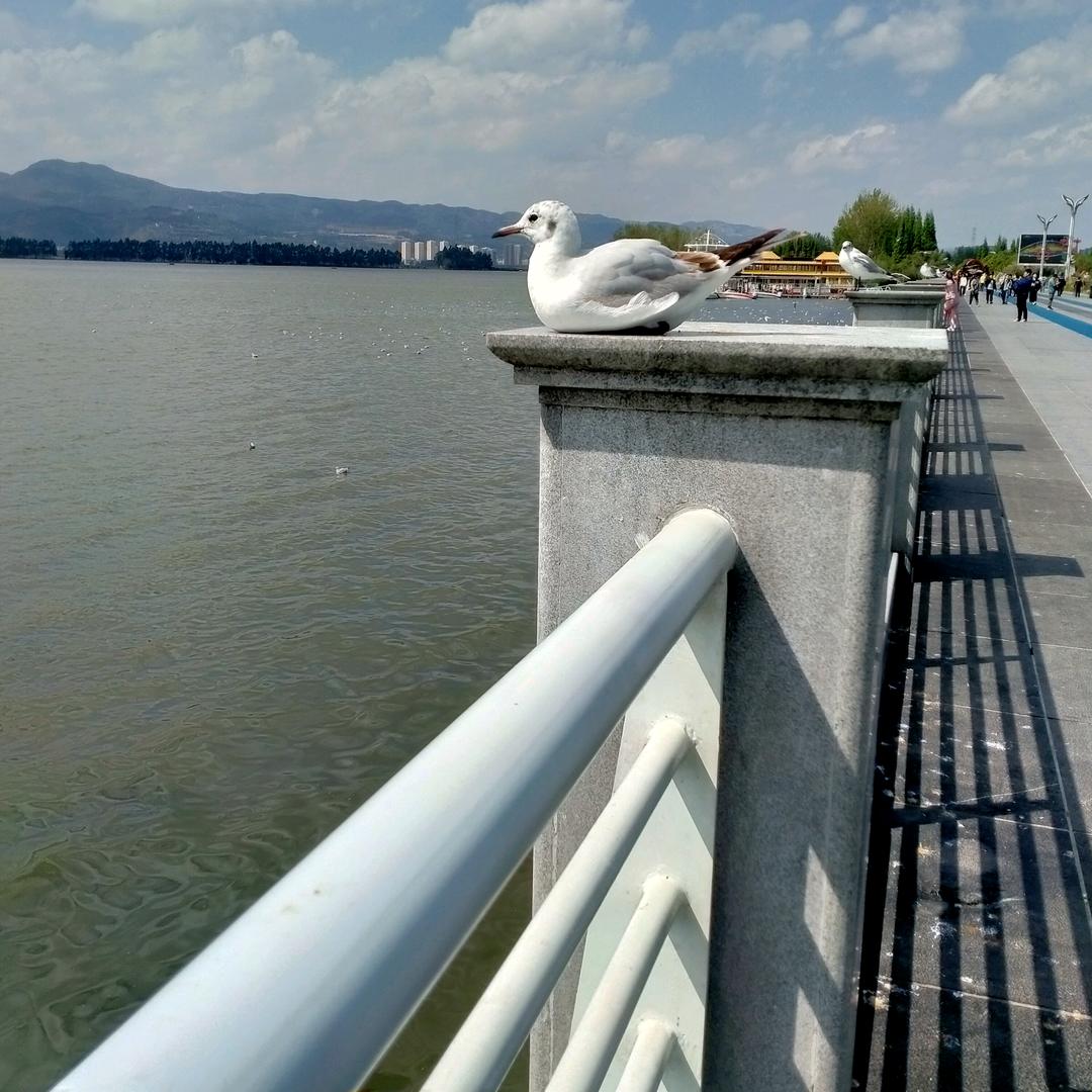 韦小宝回来了