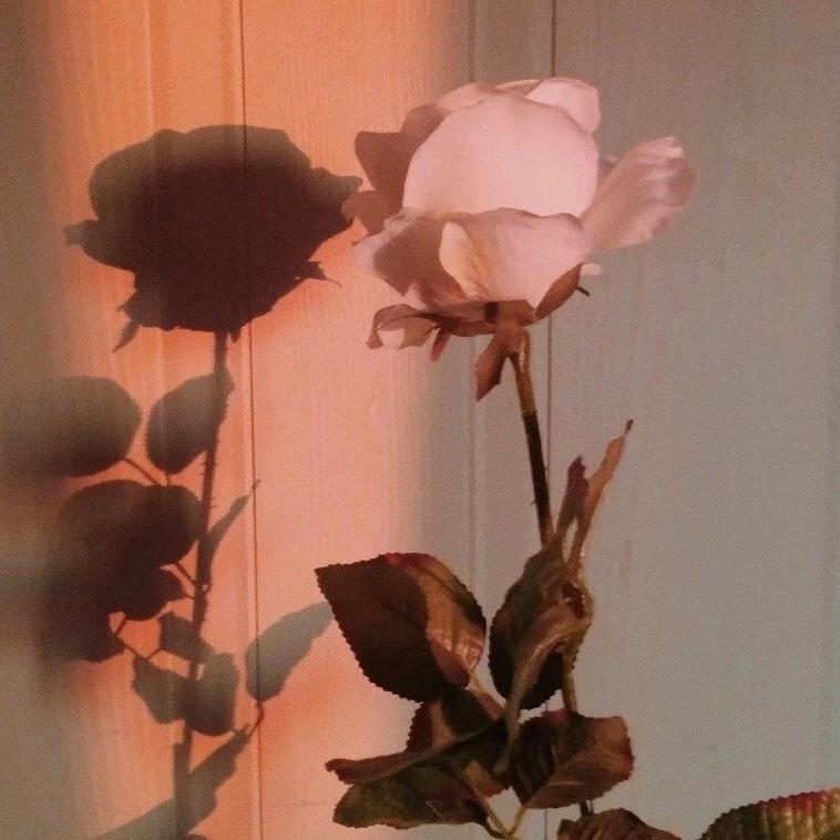 暮念（花漾花艺）
