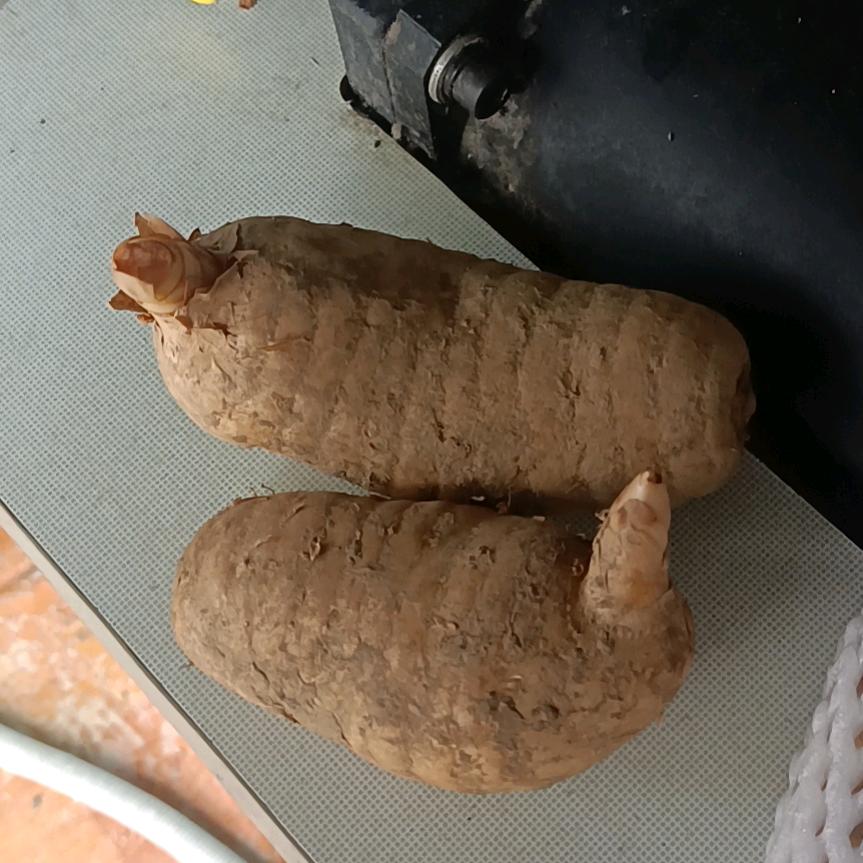 电脑绣花加工