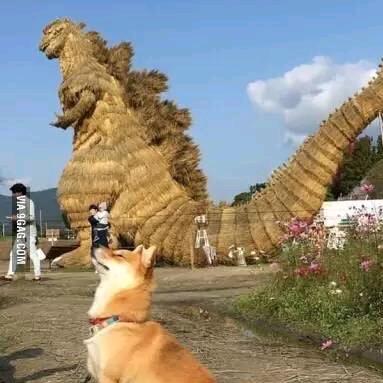 不中福袋不改名