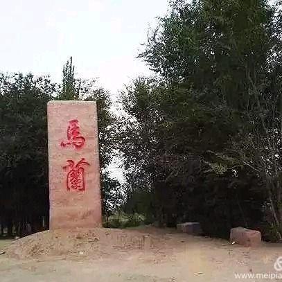 马兰（1958）（拒私聊）