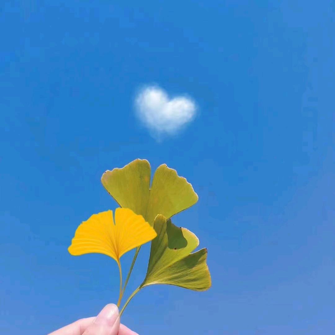 景儿