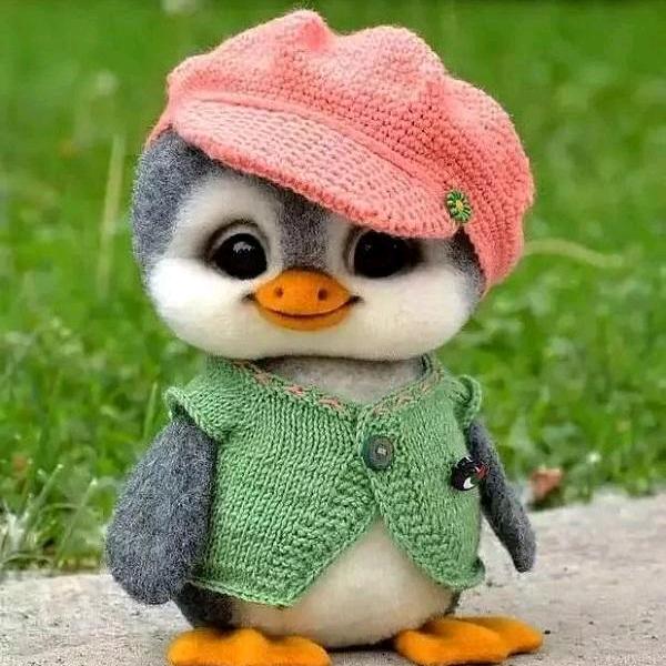 新同学🌻🌻🌻