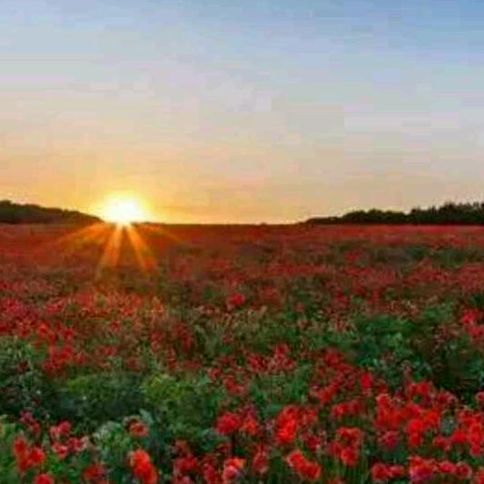 自强人生6051174565371