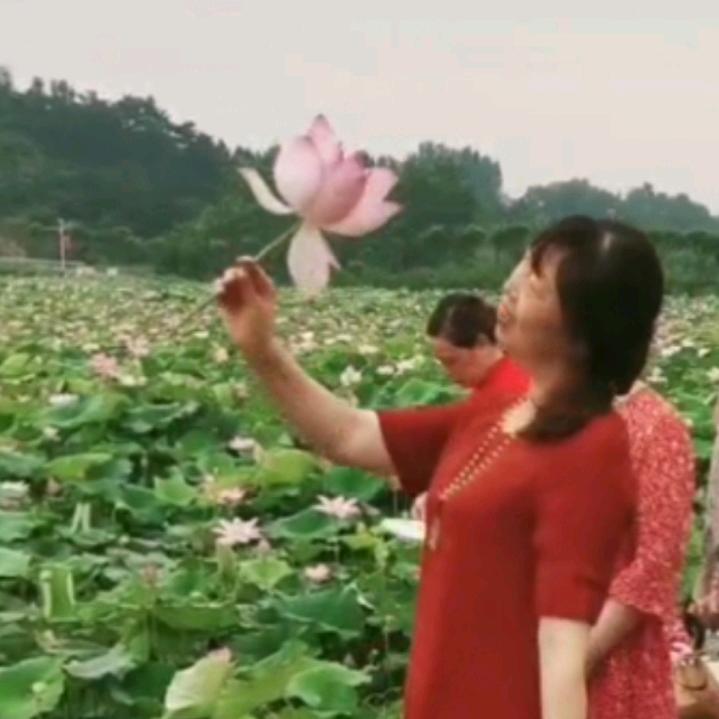双翔...