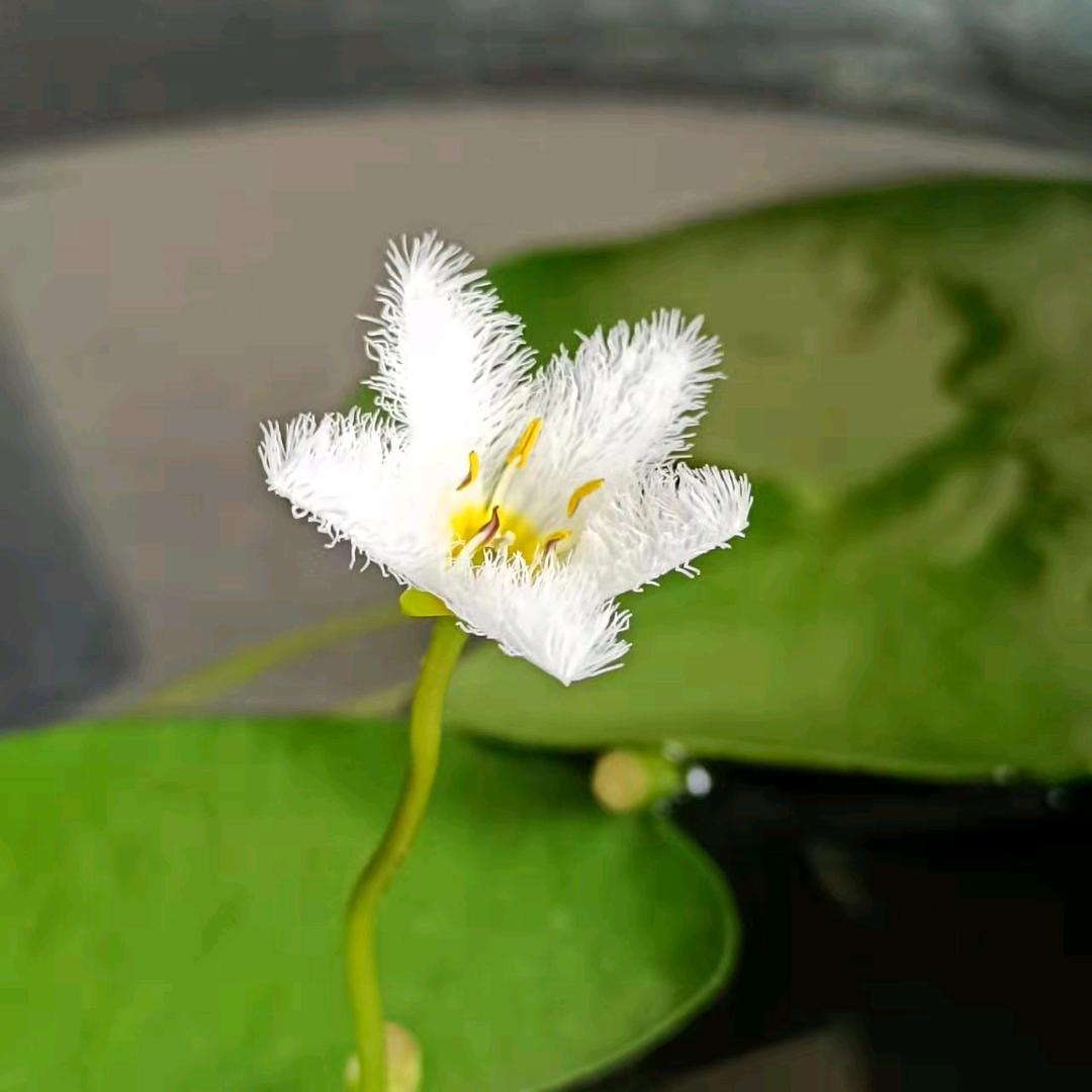 诗和远方