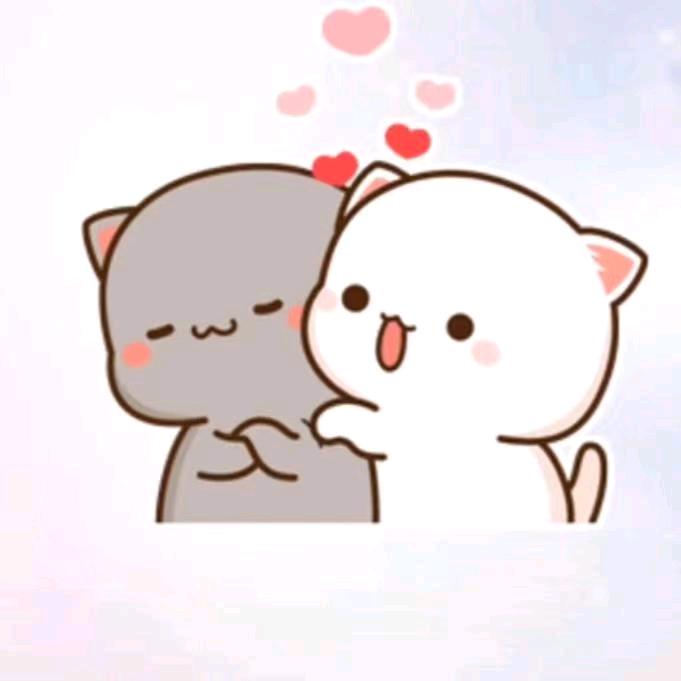 我到底该怎么做才好，是我伤你在先