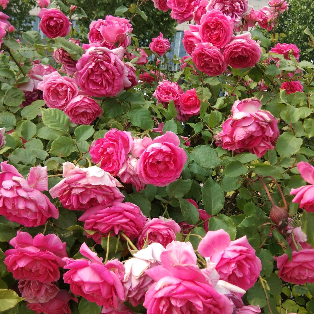 陪我到下一个路口