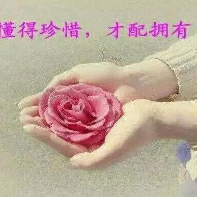 木易杨