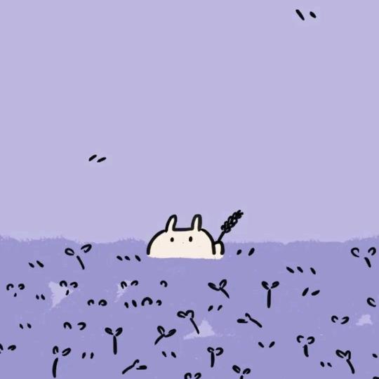 文鹄