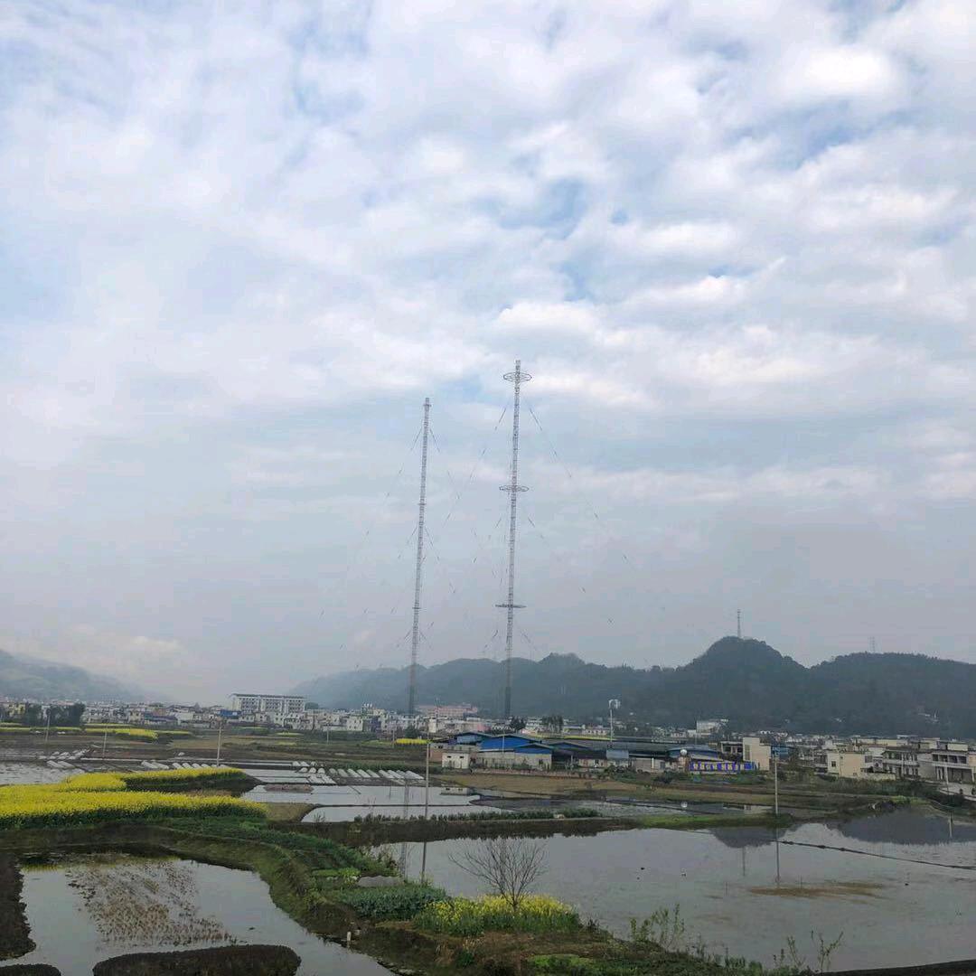 用户534306746528顺其自然w