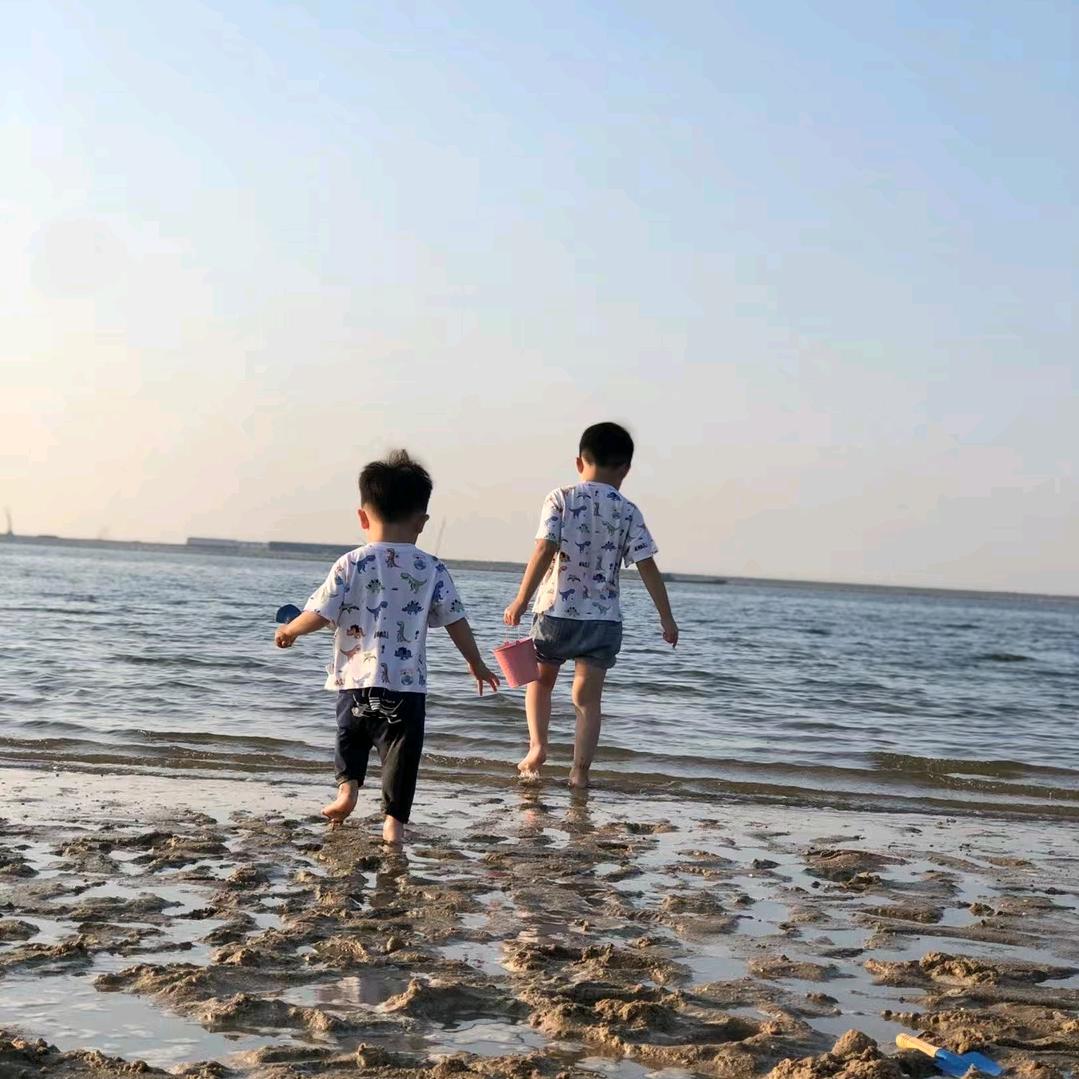 银杏树下的甲壳虫