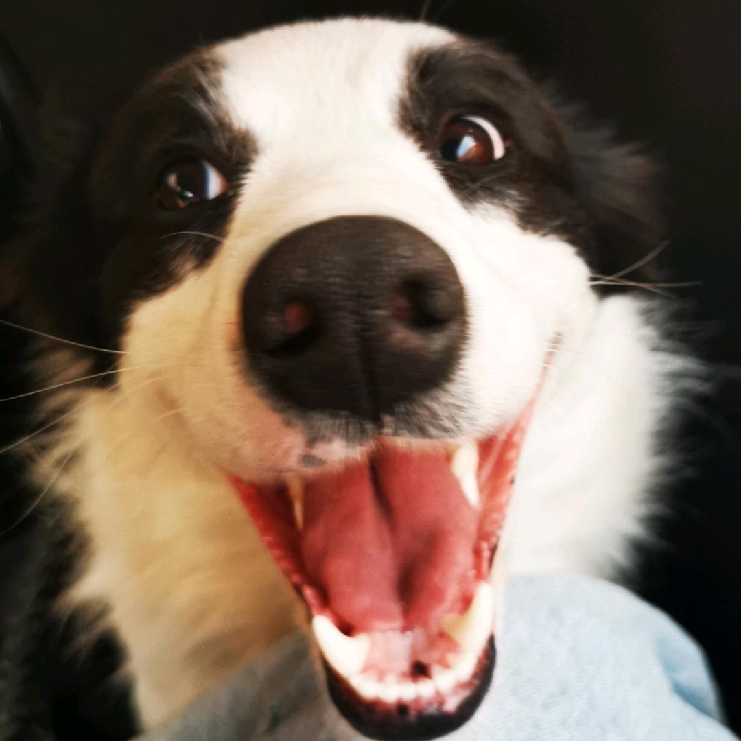 ～般若波罗蜜～