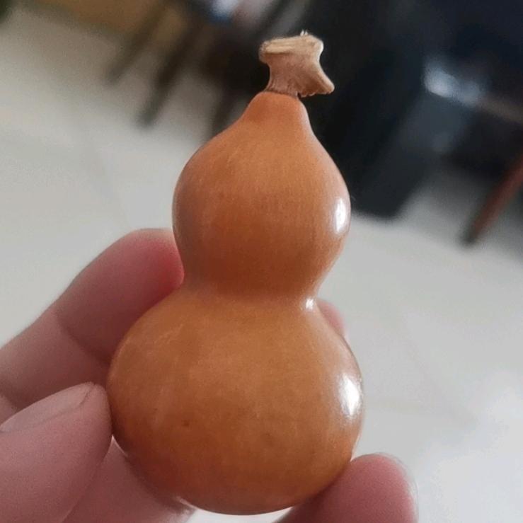 飞蝗